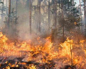 В Росії масштабні лісові пожежі: в двох регіонах оголосили надзвичайну ситуацію