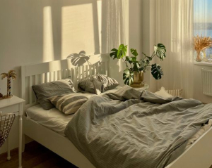 Три причины, почему комнатные растения лучше убрать из спальни