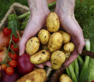 Які чотири продукти можуть швидко нормалізувати високий тиск