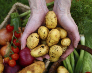 Какие четыре продукта могут быстро нормализовать высокое давление