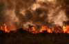 На самом большом в мире болоте бушуют масштабные пожары