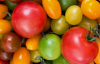 Чим відрізняються жовті помідори від червоних: головні відмінності