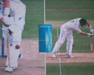 На Евро-2024 используют передовую технологию, позаимствованную из крикета