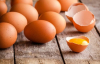 П'ять ознак, що яйця не зіпсовані і їх можна їсти