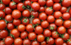 В Україні подешевшали помідори