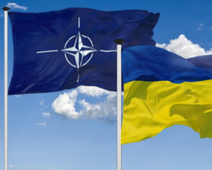 Помічник держсекретаря США розповів, чого очікує від саміту НАТО