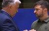 Зеленский и Орбан эмоционально побеседовали на саммите ЕС в Брюсселе: видео