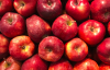Ціна на яблука злетить через неврожай