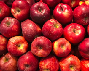 Цена на яблоки взлетит из-за неурожая