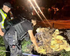 В Киеве вечером в парке упало дерево - погиб человек