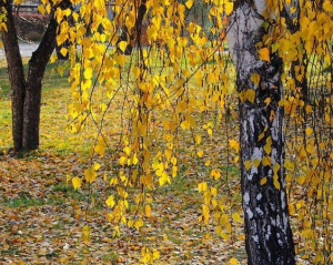 Не нарікайте на долю та стежте за словами: що варто пам&#039;ятати про цей день