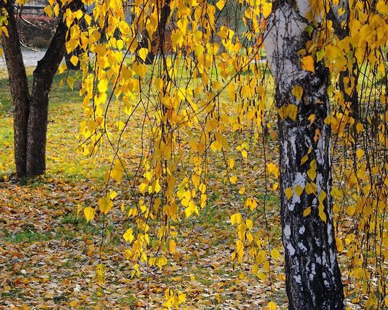 Не нарікайте на долю та стежте за словами: що варто пам'ятати про цей день