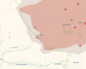 Загарбники зайшли у Цукурине на Донеччині - воєнкор