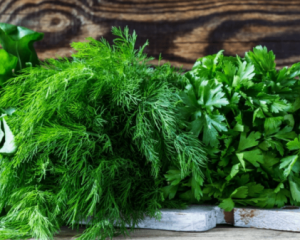 Урожай будет в начале весны: что можно сажать на огороде в ноябре