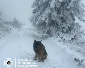 На українсько-румунський кордон завітала справжня зима - ДПСУ показали знімки