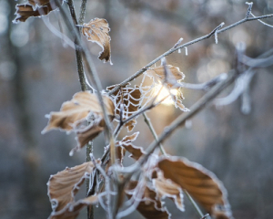 Синоптик ответила, ударит ли в декабре 30-градусный мороз