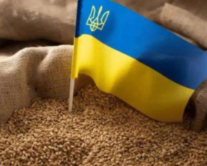 Украинская продовольствие может обеспечить 167 тыс. сирийцев в течение месяцев