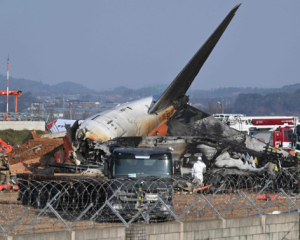 В обох двигунах літака Jeju Air, який розбився у Південній Кореї, виявили пташине пір&#039;я та кров - Reuters