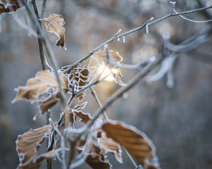 Сегодня потеплеет до +17°С, но есть нюансы