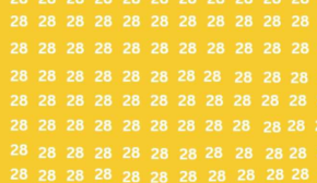 Загадка для самых внимательных: найдите число 23 на картинке