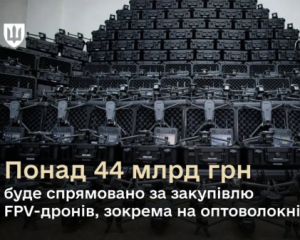 Сколько денег направят на дроны: в Минобороны рассказали о плане