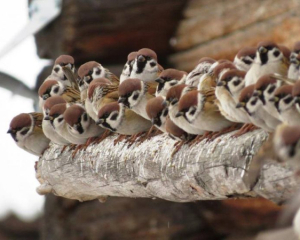 "Відлякаєте" кохання та гроші: що не можна робити сьогодні