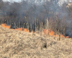 Прикарпатье в огне: горят гектары леса