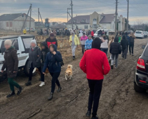 На Вінниччині розшукали зниклого трирічного хлопчика, якого всю ніч від переохолодження зігрівав пес