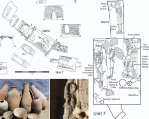 Древние скелеты могут изменить историю Египта