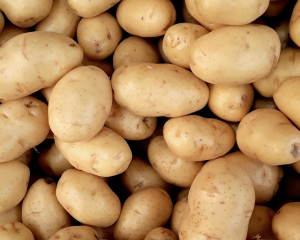 В України знизилися ціни на картоплю