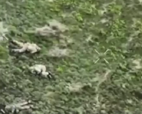 ВСУ уничтожили колонны бронетехники и личный состав РФ во время штурма оккупантов в Донецкой области