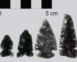 Давні люди активно займалися торгівлею: археологи знайшли докази