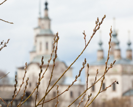 Розповіли про погоду у Вербну неділю