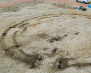 Уникальное открытие сделали на строительстве