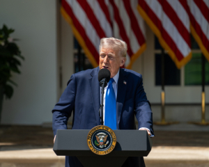 Трамп незадоволений підходом Волца до Ірану - ЗМІ