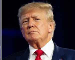 Трамп похвалил три дня тишины от Путина