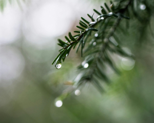 В Україні хмарно з проясненнями, короткочасні дощі - прогноз на 7 квітня