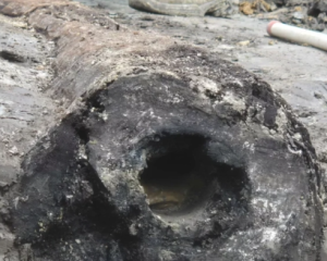 Під час ремонту вулиці знайшли незвичайну річ