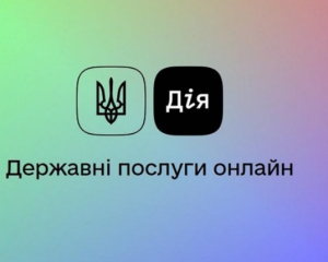 В "Дії" водители не смогут воспользоваться некоторыми услугами