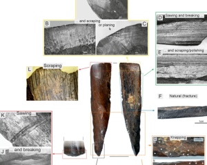 Археологи розкрили секрет кістяних інструментів