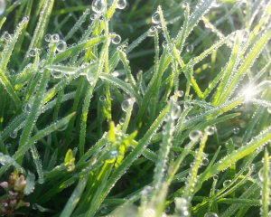 Чому сьогодні не можна підходити до незнайомців: прикмети дня