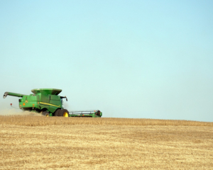 Скасування квот на українську продукцію погано вплине на Україну - Zeit