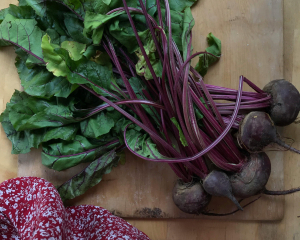 В Україні рекордно зросли ціни на буряк