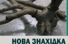 На Хортиці знайшли давні роги
