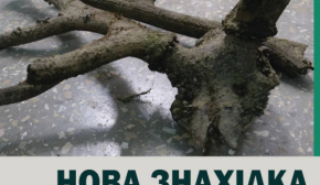 На Хортиці знайшли давні роги