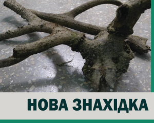 На Хортиці знайшли давні роги