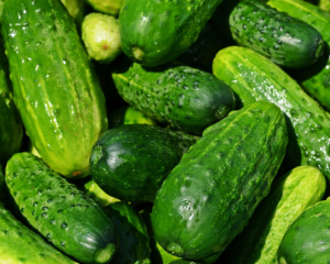 В Україні знову подешевшали огірки