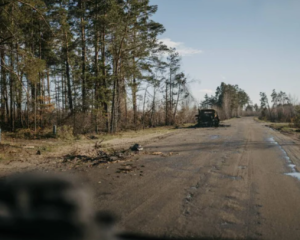 Окупанти на Запоріжжі масово відбирають у селян дрова для окопів