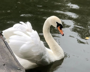 Не езжайте туда, где вас не ждут: запреты и приметы дня
