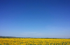 В Україні без опадів, але місцями можливі короткочасні дощі: якою буде погода 20 червня